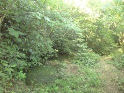 Sitio de 7,00 hectares 