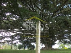 Otima casa bem localizada em Lomba Grande 