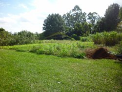 Lindo sítio de 1,6 hectare 