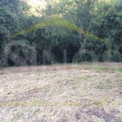 Sítio de 2,89 hectares 