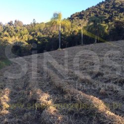 Sítio de 2,89 hectares 