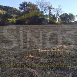 Sítio de 2,89 hectares 