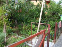 Casa com dois dormitorios na Feitoria 