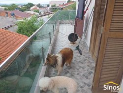 Casa no bairro Rondônia 