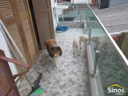 Casa no bairro Rondônia 