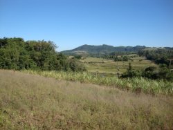 Área de 2,6 hectares no Morro dos Bois 