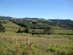 Área de 2,6 hectares no Morro dos Bois 