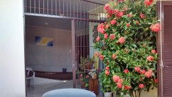Casa com 3 dormitórios em Taquara 
