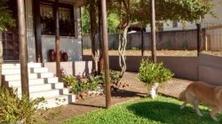 Casa com 3 dormitórios em Taquara 