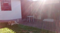 Casa com 3 dormitórios em Taquara 
