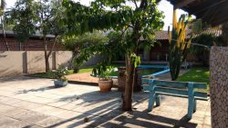 Terreno com Prédio e Casa em Campo Bom 