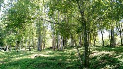 Terreno em Zona Nobre Alpes do Vale 