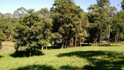 Terreno em Zona Nobre Alpes do Vale 