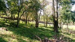 Terreno em Zona Nobre Alpes do Vale 