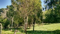 Terreno em Zona Nobre Alpes do Vale 