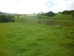 Lindo sitio em Lomba Grande com 2,5 hectares 