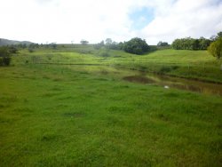 Lindo sitio em Lomba Grande com 2,5 hectares 