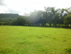 Lindo sitio em Lomba Grande com 2,5 hectares 
