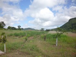 Lindo sitio em Lomba Grande com 2,5 hectares 