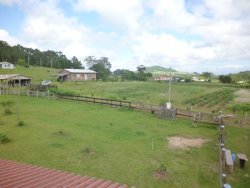 Lindo sitio em Lomba Grande com 2,5 hectares 