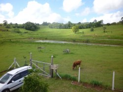 Lindo sitio em Lomba Grande com 2,5 hectares 