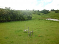 Lindo sitio em Lomba Grande com 2,5 hectares 