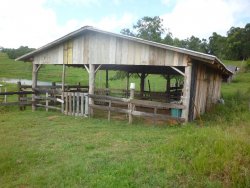 Lindo sitio em Lomba Grande com 2,5 hectares 