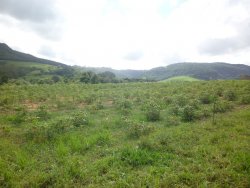 Lindo sitio em Lomba Grande com 2,5 hectares 