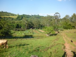 Sítio na área central de 1,6 hectare em Lomba Grande 
