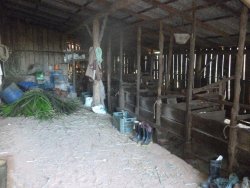 Sítio na área central de 1,6 hectare em Lomba Grande 