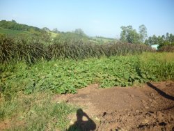 Sítio na área central de 1,6 hectare em Lomba Grande 