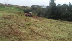 Sítio de 5.000,00 m² em Lomba Grande 