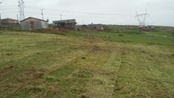 Sítio de 5.000,00 m² em Lomba Grande 
