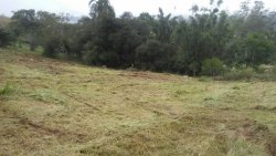 Sítio de 5.000,00 m² em Lomba Grande 
