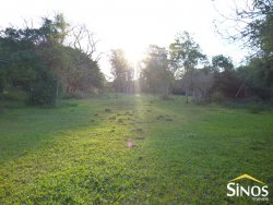 Sítio próximo ao centro de Lomba Grande de 2,1 hectares 