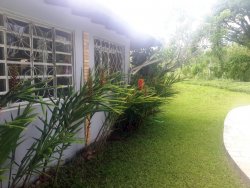 Sítio de 5.320 m² em Lomba Grande 