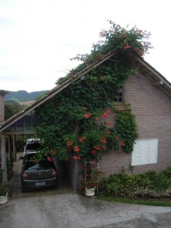 Sítio de 5.320 m² em Lomba Grande 