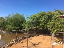 Sítio de 5.000,00 m² em Lomba Grande 