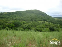 Sítios de 2,00 hectares em Lomba Grande 