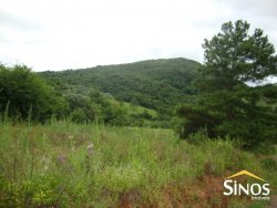 Sítios de 2,00 hectares em Lomba Grande 