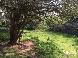 Terreno com 523,50m² próximo ao centro de Lomba Grande 