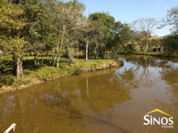 Sítio de  2,00 hectares com abundância de água na Lomba Grande 