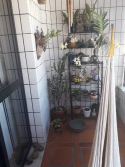 Apartamento com 02 dormitórios no centro 