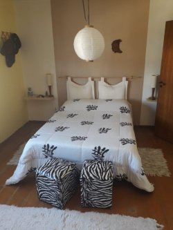 Apartamento com 02 dormitórios no centro 