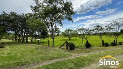 Lindo sítio de 4,00 hectares em Lomba Grande 
