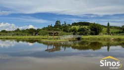 Lindo sítio de 4,00 hectares em Lomba Grande 
