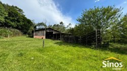 Lindo sítio de 4,00 hectares em Lomba Grande 
