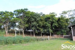 Lindo sítio de 4,00 hectares em Lomba Grande 
