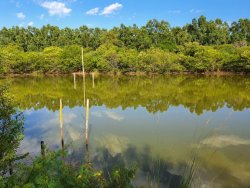 Área de 2,5 hectares com 02 pavilhões 