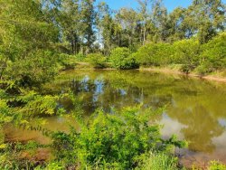 Área de 2,5 hectares com 02 pavilhões 